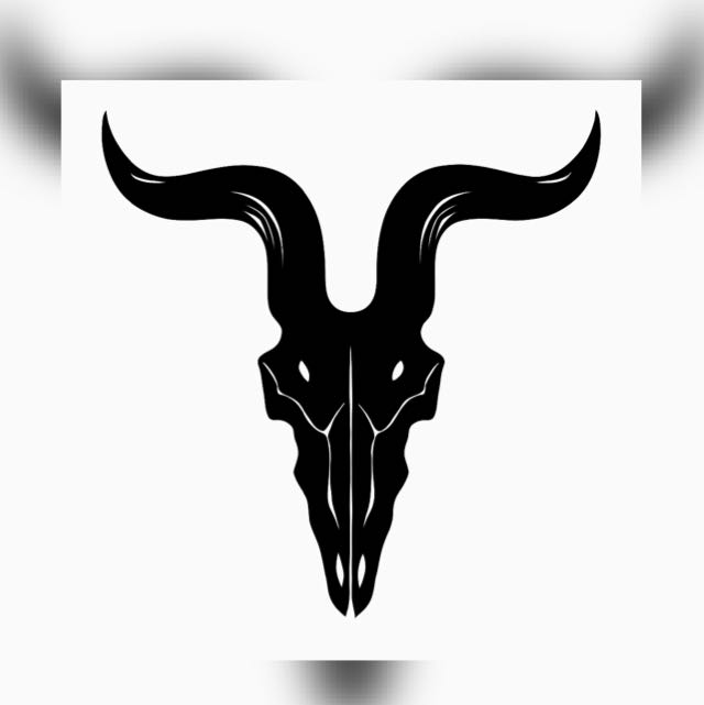 Stock Insights WhatsApp Channel