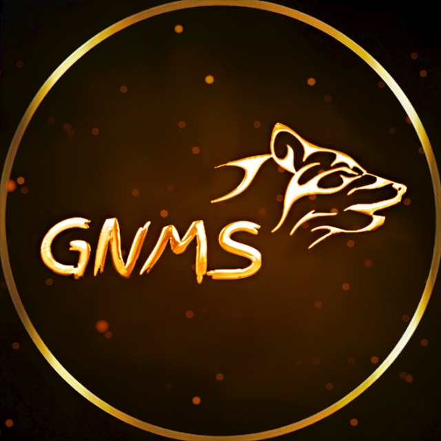 GNMS Edits 4K Videos WhatsApp Channel – Status, Quotes & More