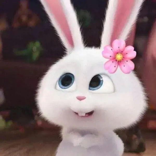 Canal de WhatsApp Stickers, Videos y Memes divertidos