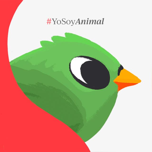 Canal de WhatsApp de Animal Político: historias y noticias que importan