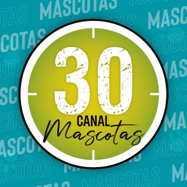 Canal de WhatsApp Mascotas en Minuto30