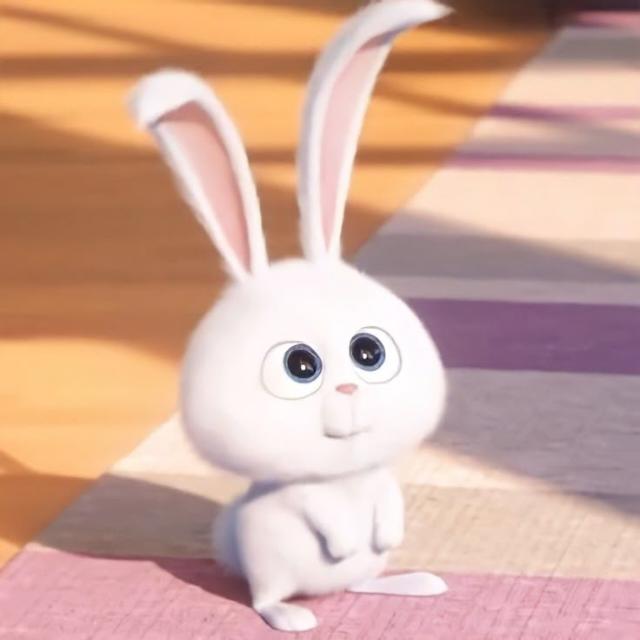 Canal de WhatsApp: Stickers, Videos, Música y Memes divertidos
