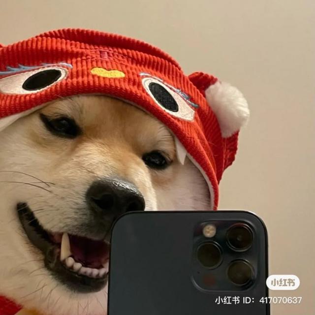 Canal de WhatsApp Audios, Memes y Más para Adolescentes