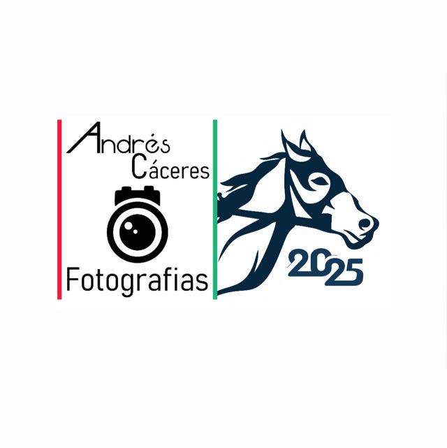 Canal de WhatsApp Fotografías Andrés Cáceres