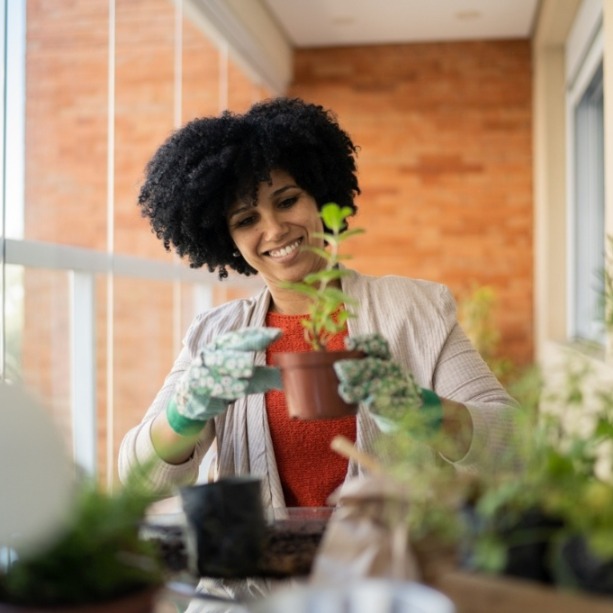 Canal no WhatsApp Pais de Plantas: Dicas e Curiosidades