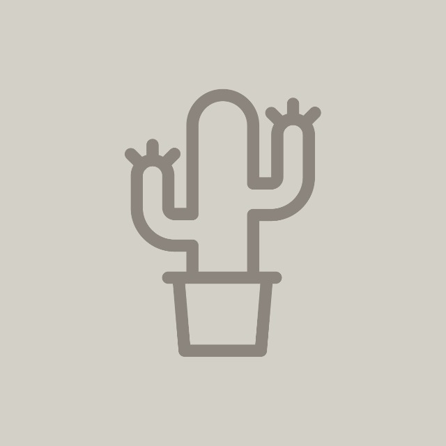 Canal no WhatsApp: Casa e Jardim – Cactos e Suculentas